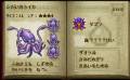 KingSquid