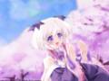 sakura