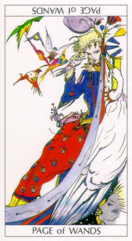 多色网首页 水刃青月的相册 天野 塔罗 >>page of wands     时间