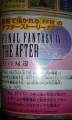 FF4外传