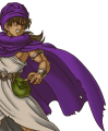 dq5