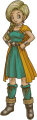 dq5