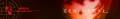 banner2008