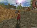 FE2008102802030812029218