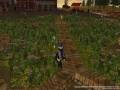 FE2008102802175312914453