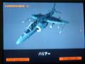 Harrier