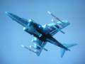 Harrier