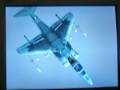 Harrier