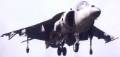 Harrier