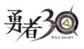 勇者30