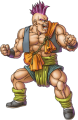 DQ6人物图
