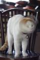 上传时间:2009-12-14 11:25:44
漩涡