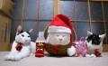 上传时间:2009-12-24 19:13:26
Santa
