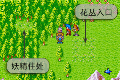 花丛入口