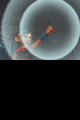 DQMJ2通关后要素4