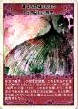 小圆脸魔女