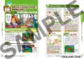 dq6book