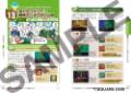 dq6book3